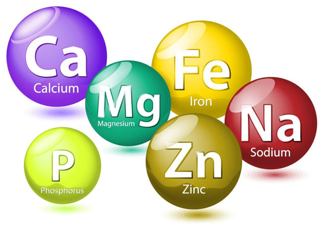 minerales necesarios en el embarazo