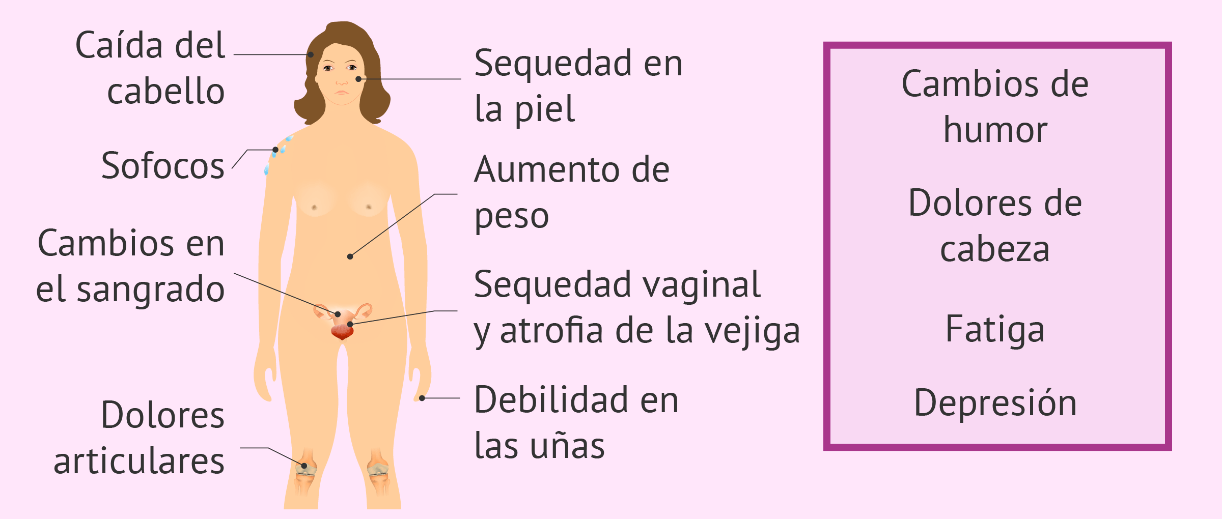 síntomas premenopausia