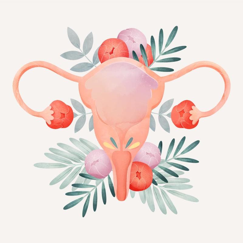 El Prolapso Uterino 2